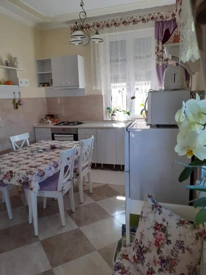 Apartment Aranyoshaz-vendeghaz *