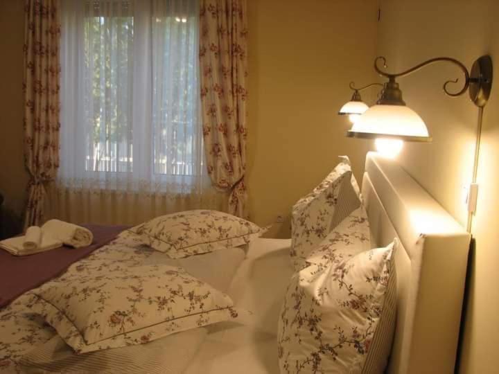 Apartment Aranyoshaz-vendeghaz *