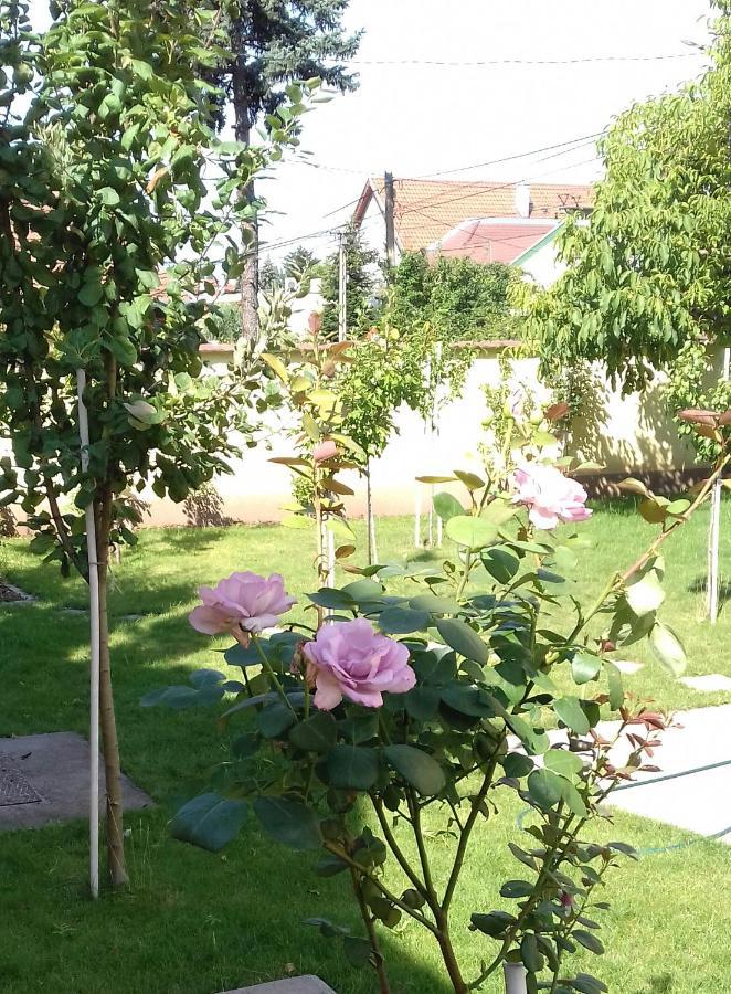 Aranyoshaz-vendeghaz Apartmán Budapešť