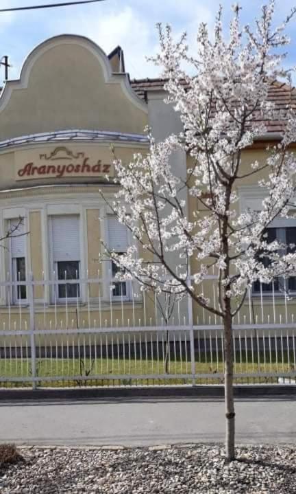 Aranyoshaz-vendeghaz * Budapešť