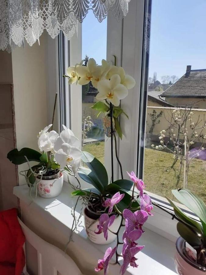 Apartmán Aranyoshaz-vendeghaz Budapešť